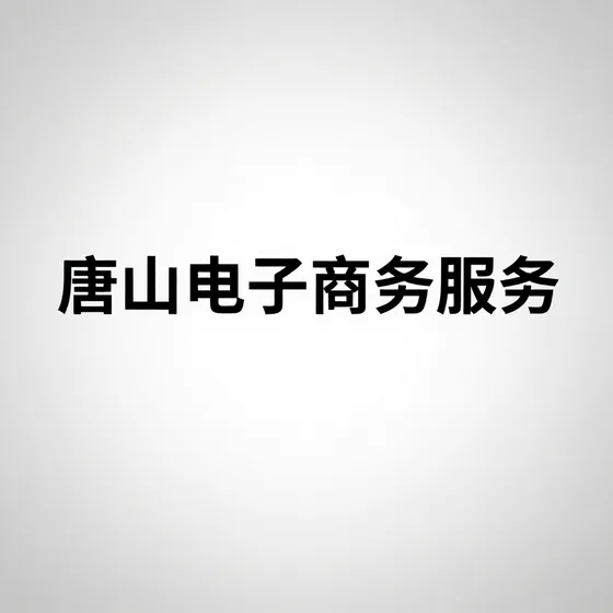 唐山电子商务服务